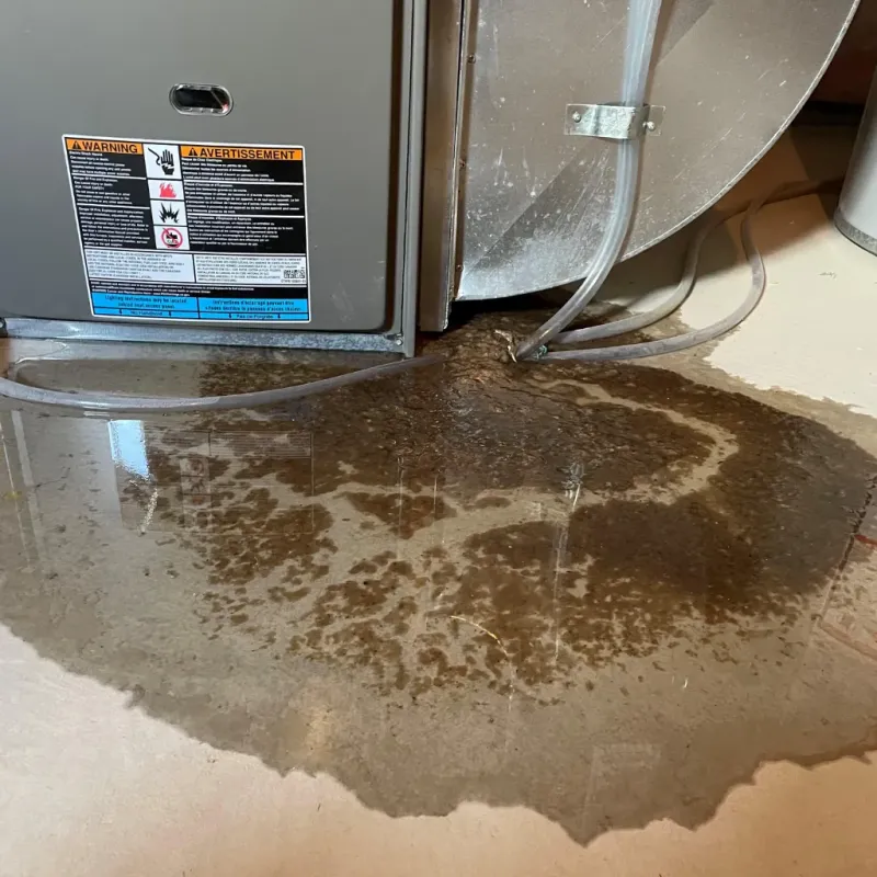 Appliance Leak Cleanup in Kaneohe, HI