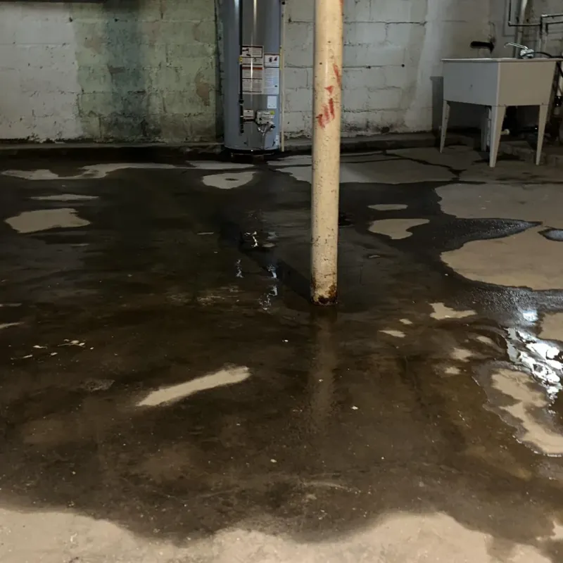 Emergency Water Extraction And Removal in Kaneohe, HI